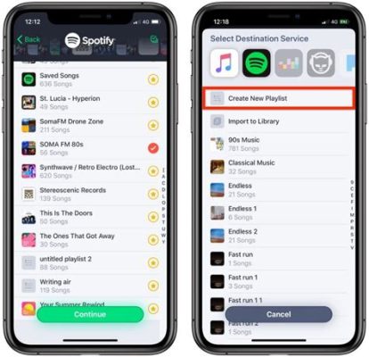 How to Transfer Songs from Apple Music to Spotify: A Comprehensive Guide with Multiple Viewpoints